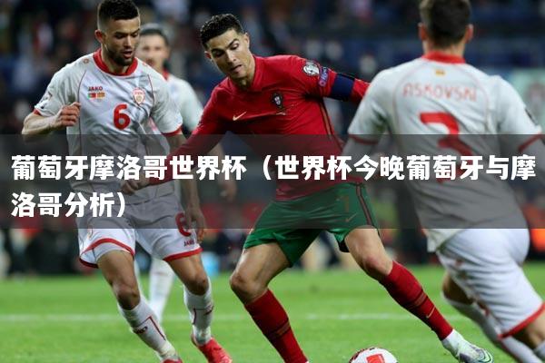 葡萄牙摩洛哥世界杯（世界杯今晚葡萄牙与摩洛哥分析）