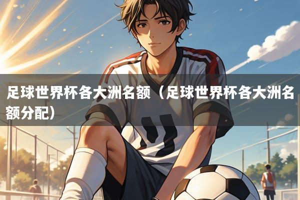 足球世界杯各大洲名额（足球世界杯各大洲名额分配）