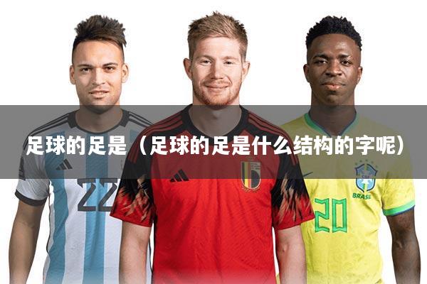 足球的足是(足球的足是什么结构的字呢)