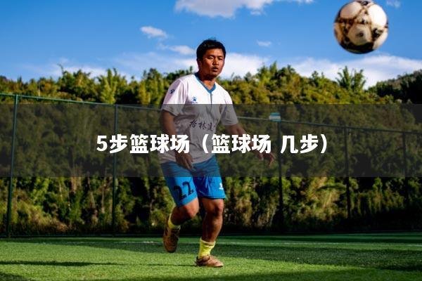 5步篮球场(篮球场 几步)