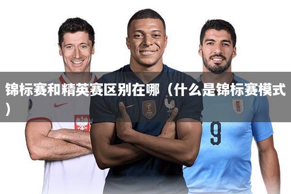 锦标赛和精英赛区别在哪（什么是锦标赛模式）