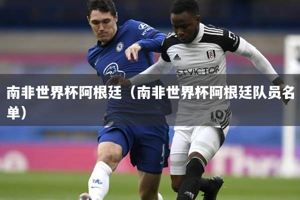 南非世界杯阿根廷（南非世界杯阿根廷队员名单）