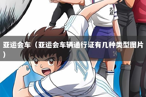 亚运会车(亚运会车辆通行证有几种类型图片)