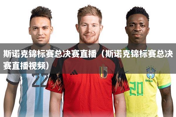 斯诺克锦标赛总决赛直播(斯诺克锦标赛总决赛直播视频)