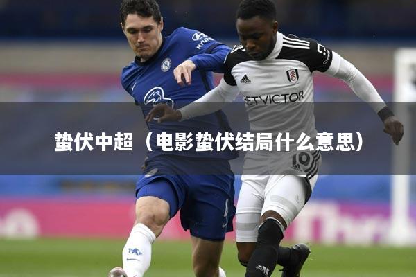 蛰伏中超(电影蛰伏结局什么意思)