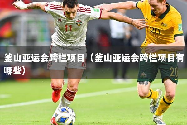 釜山亚运会跨栏项目(釜山亚运会跨栏项目有哪些)