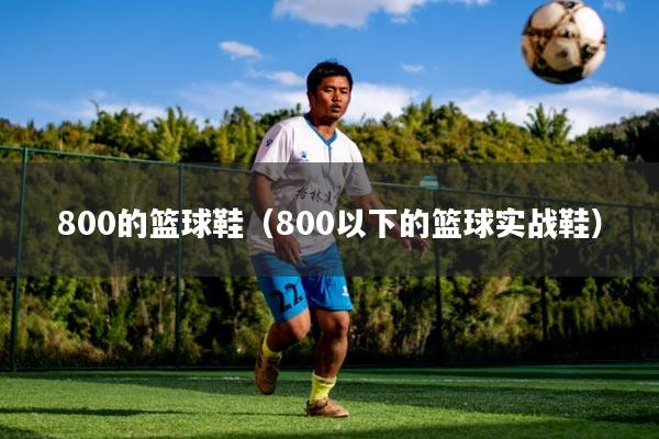 800的篮球鞋（800以下的篮球实战鞋）