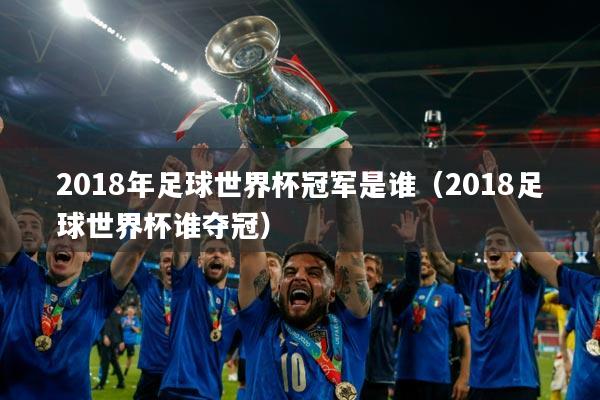 2018年足球世界杯冠军是谁（2018足球世界杯谁夺冠）