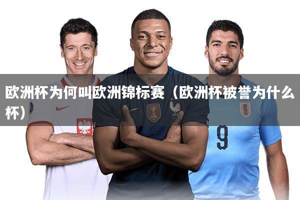 欧洲杯为何叫欧洲锦标赛（欧洲杯被誉为什么杯）