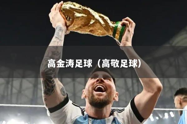 高金涛足球（高敬足球）