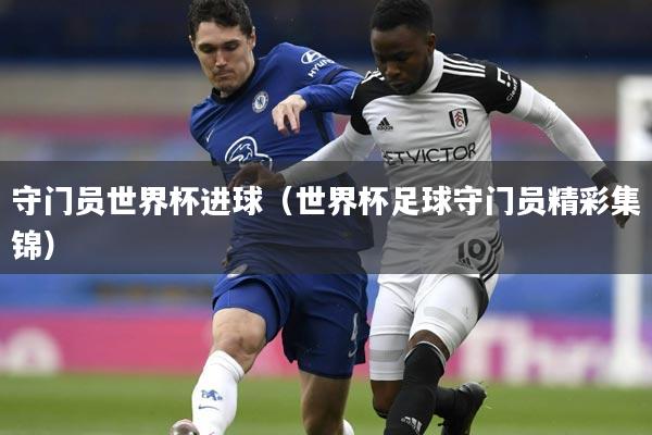 守门员世界杯进球（世界杯足球守门员精彩集锦）