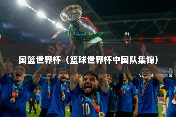 国篮世界杯（篮球世界杯中国队集锦）