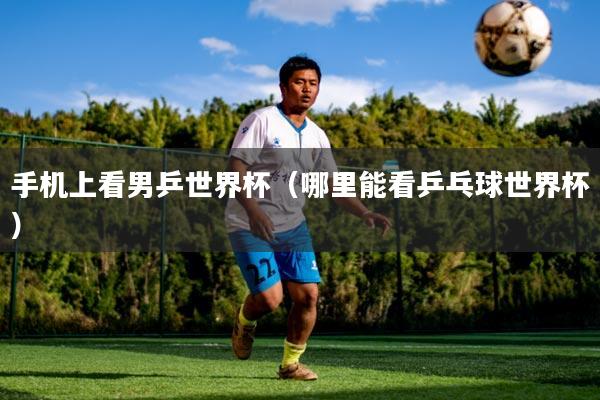 手机上看男乒世界杯（哪里能看乒乓球世界杯）