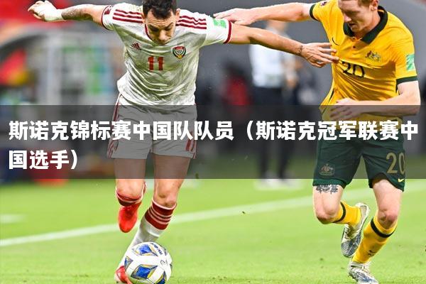 斯诺克锦标赛中国队队员（斯诺克冠军联赛中国选手）